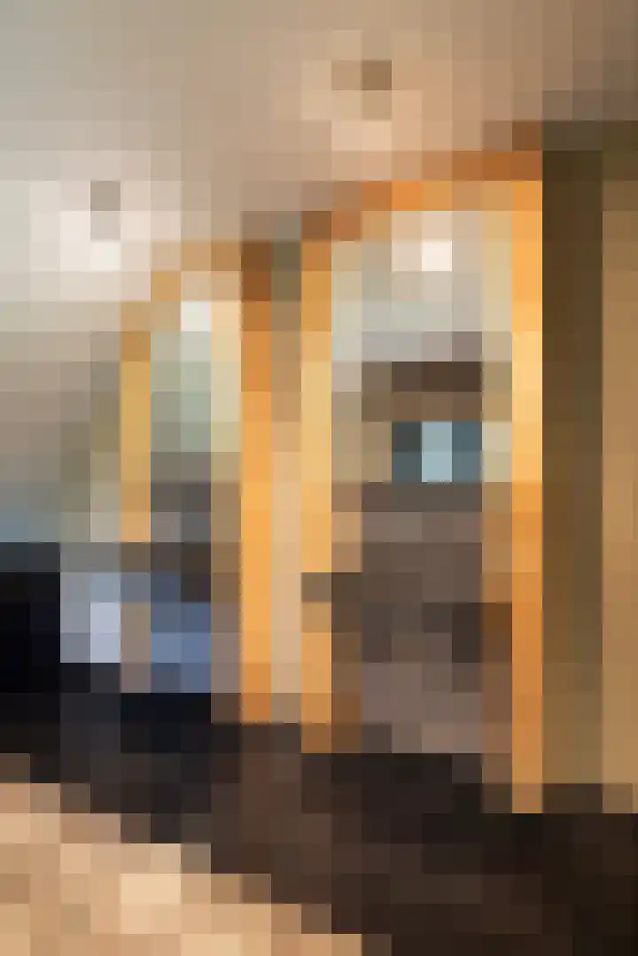 Dijkhuizerweg 25 Epe thumbnail 56