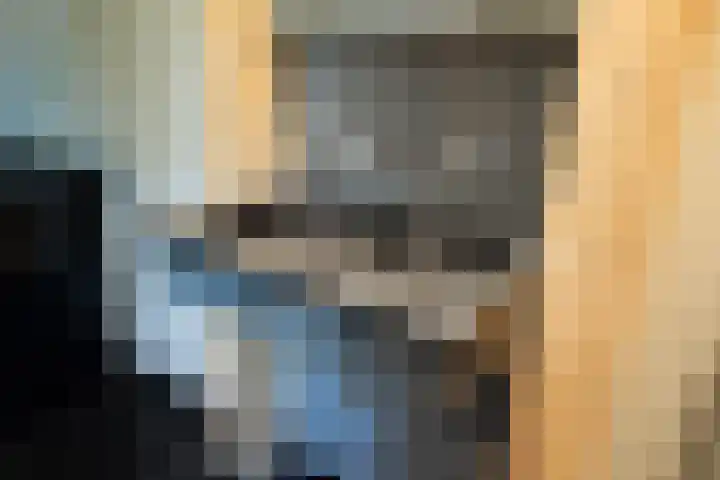 Dijkhuizerweg 25 Epe thumbnail 57