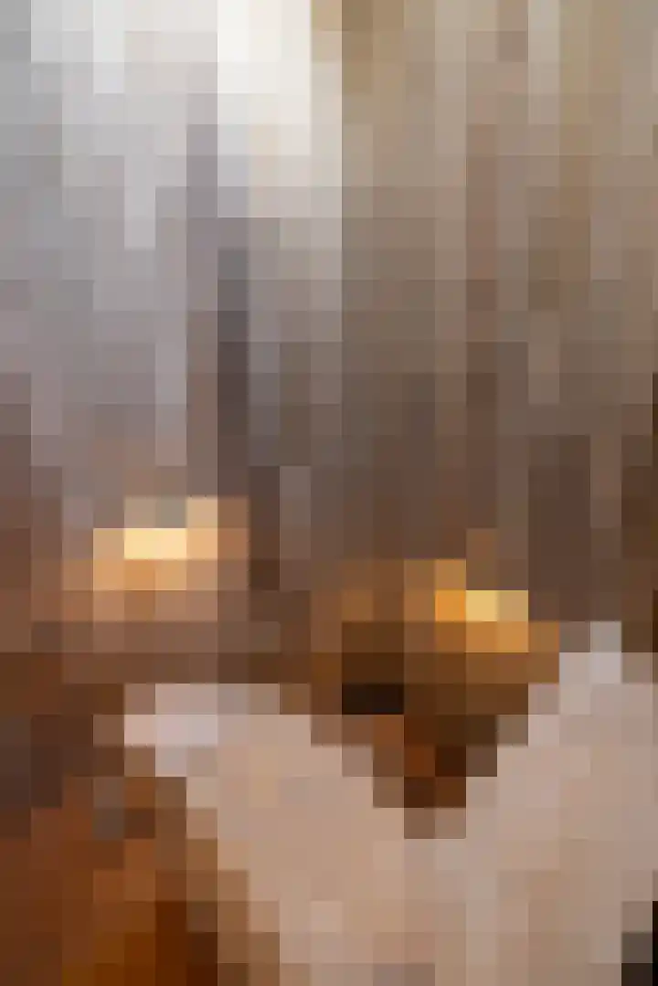 Dijkhuizerweg 25 Epe thumbnail 60