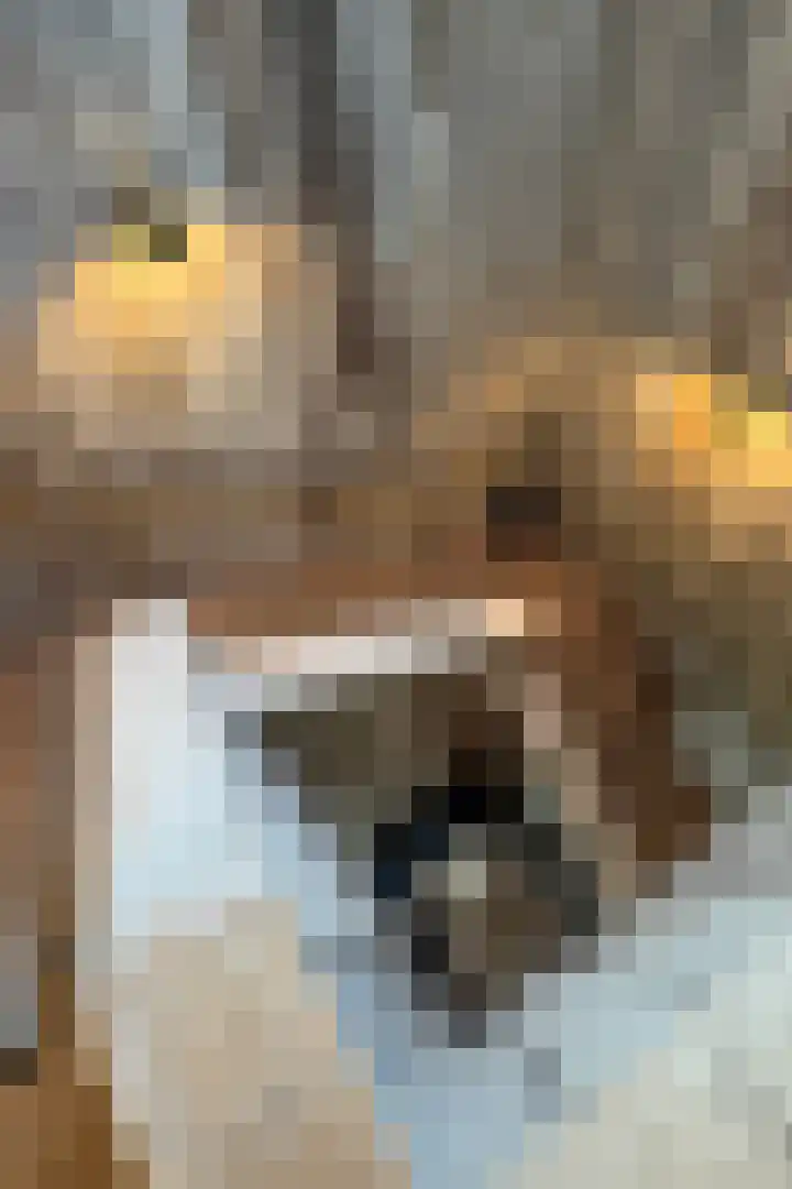 Dijkhuizerweg 25 Epe thumbnail 61