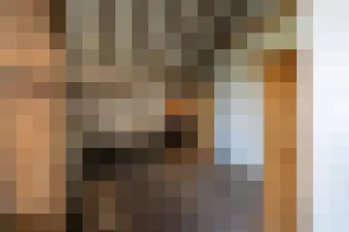 Dijkhuizerweg 25 Epe thumbnail 62