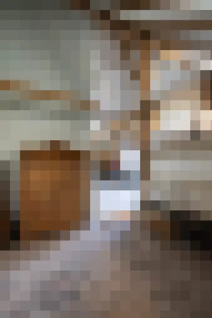 Dijkhuizerweg 25 Epe thumbnail 63