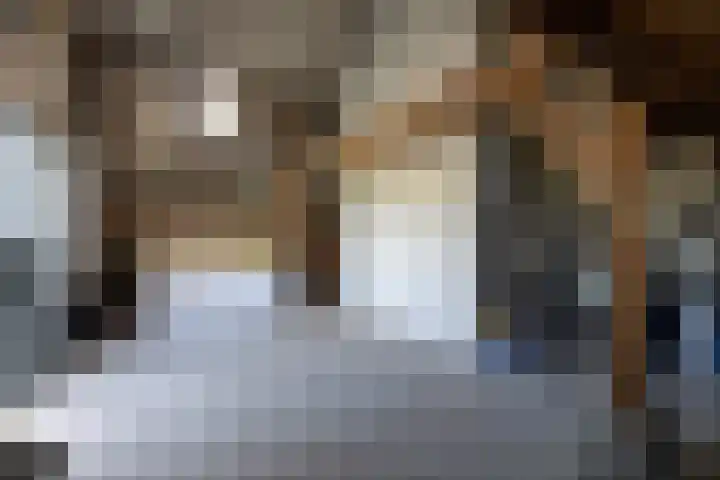 Dijkhuizerweg 25 Epe thumbnail 64
