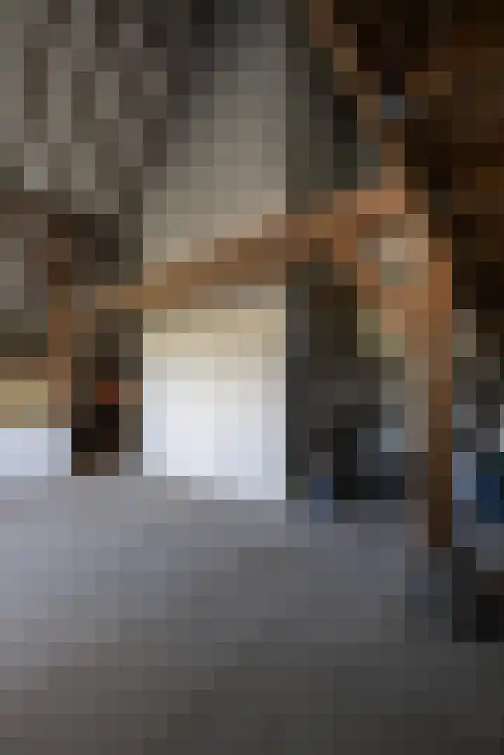 Dijkhuizerweg 25 Epe thumbnail 65