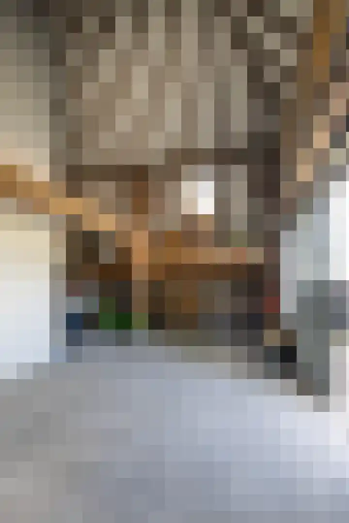 Dijkhuizerweg 25 Epe thumbnail 66