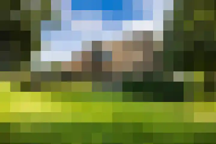 Dijkhuizerweg 25 Epe thumbnail 68