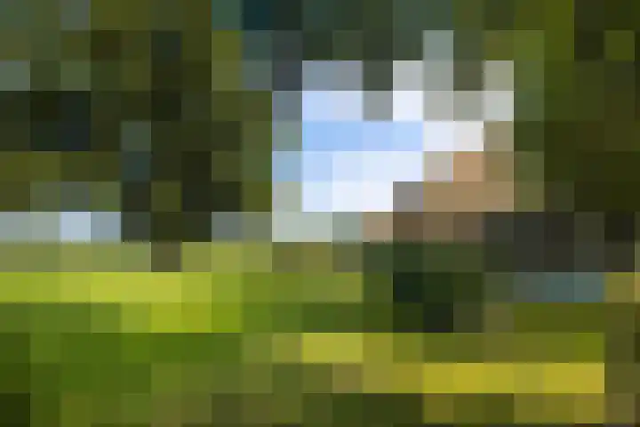 Dijkhuizerweg 25 Epe thumbnail 69