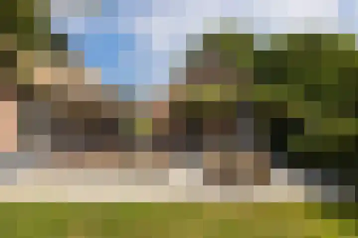 Dijkhuizerweg 25 Epe thumbnail 7