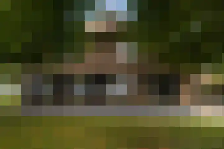 Dijkhuizerweg 25 Epe thumbnail 71