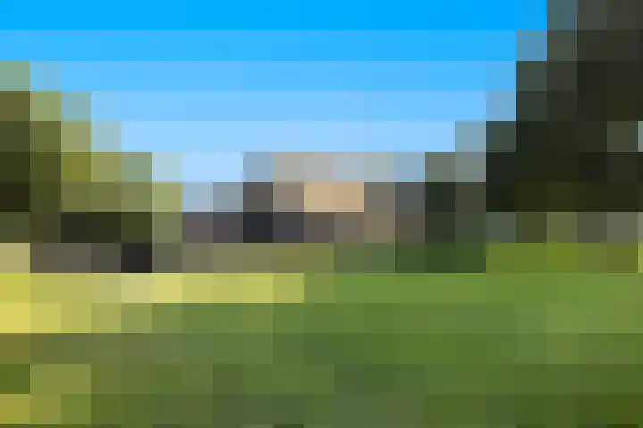 Dijkhuizerweg 25 Epe thumbnail 73