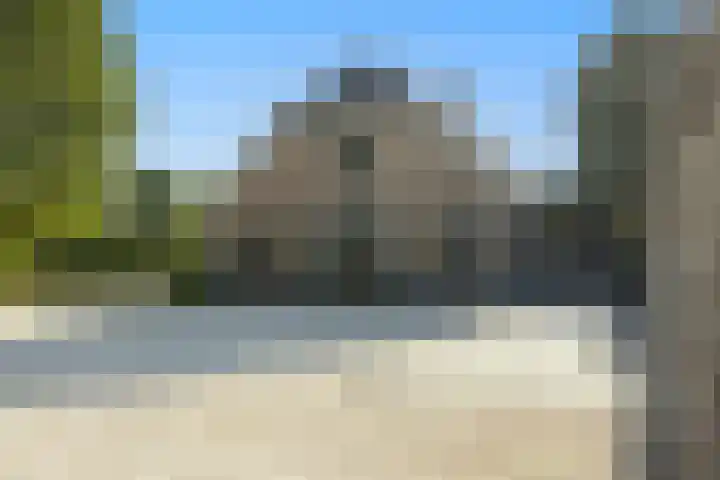 Dijkhuizerweg 25 Epe thumbnail 76