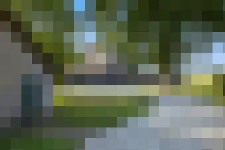 Dijkhuizerweg 25 Epe thumbnail 78