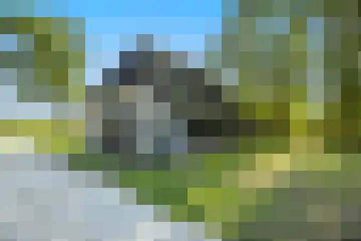 Dijkhuizerweg 25 Epe thumbnail 79