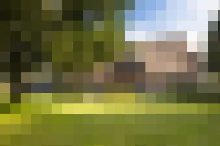 Dijkhuizerweg 25 Epe thumbnail 8