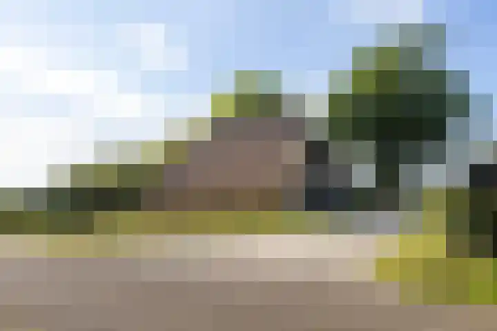 Dijkhuizerweg 25 Epe thumbnail 80