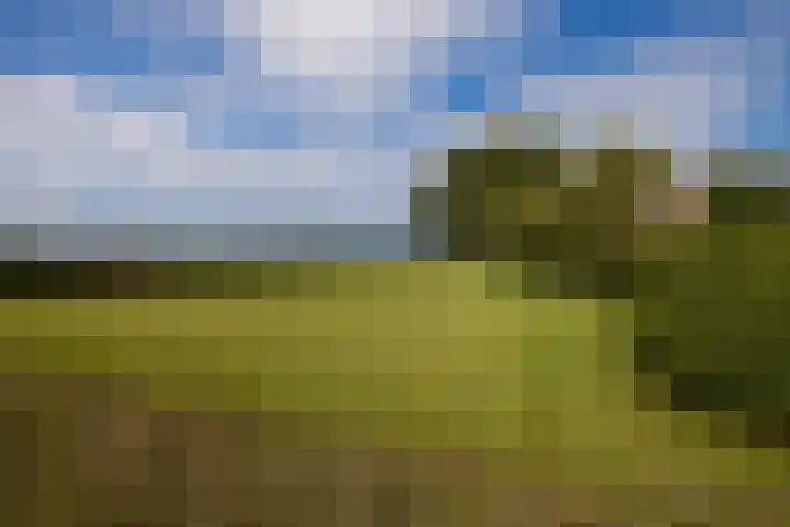 Dijkhuizerweg 25 Epe thumbnail 81
