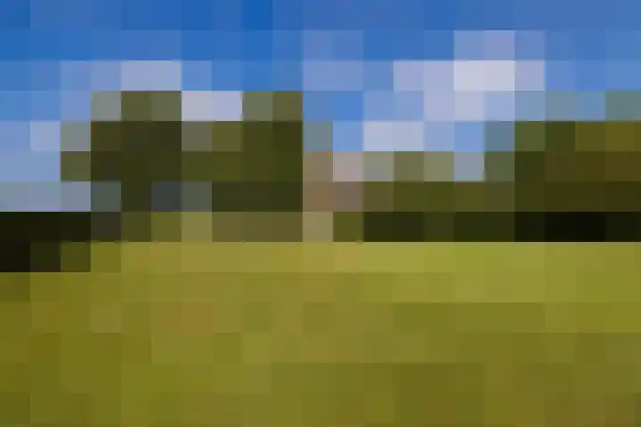 Dijkhuizerweg 25 Epe thumbnail 82