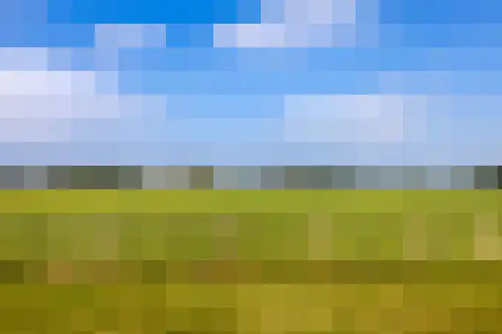 Dijkhuizerweg 25 Epe thumbnail 83