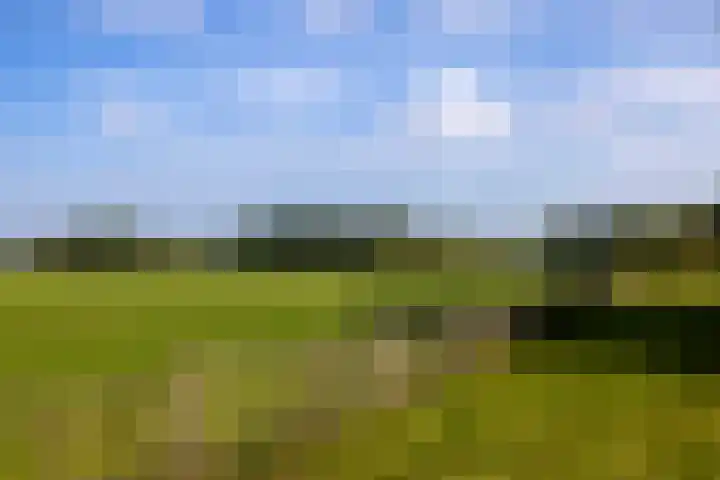 Dijkhuizerweg 25 Epe thumbnail 84
