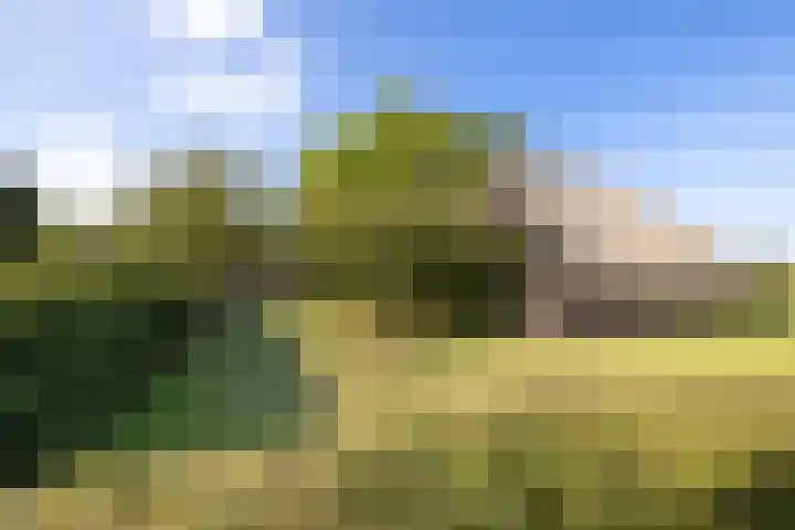 Dijkhuizerweg 25 Epe thumbnail 85
