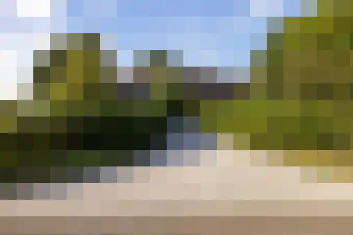 Dijkhuizerweg 25 Epe thumbnail 86