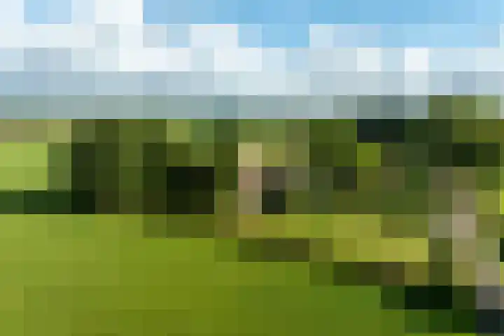 Dijkhuizerweg 25 Epe thumbnail 87