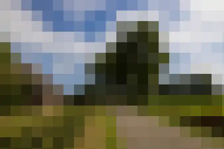 Dijkhuizerweg 25 Epe thumbnail 88