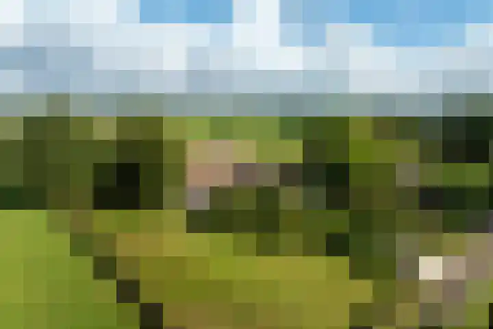 Dijkhuizerweg 25 Epe thumbnail 89