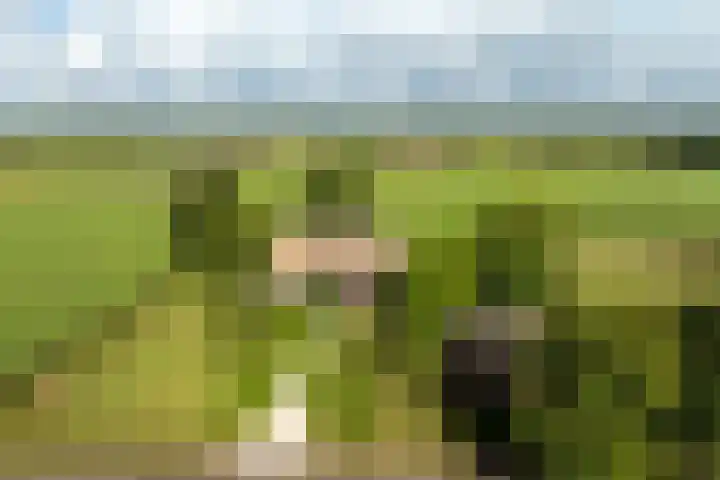 Dijkhuizerweg 25 Epe thumbnail 90