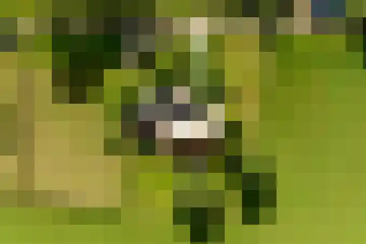 Dijkhuizerweg 25 Epe thumbnail 91