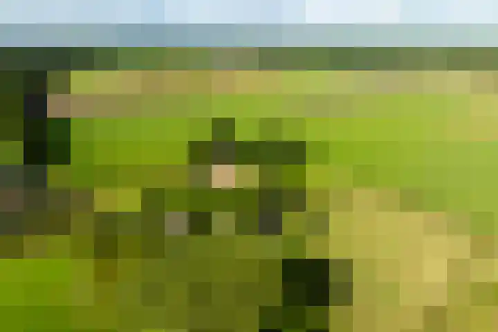 Dijkhuizerweg 25 Epe thumbnail 92