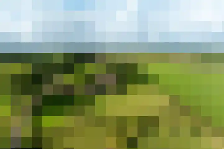 Dijkhuizerweg 25 Epe thumbnail 93