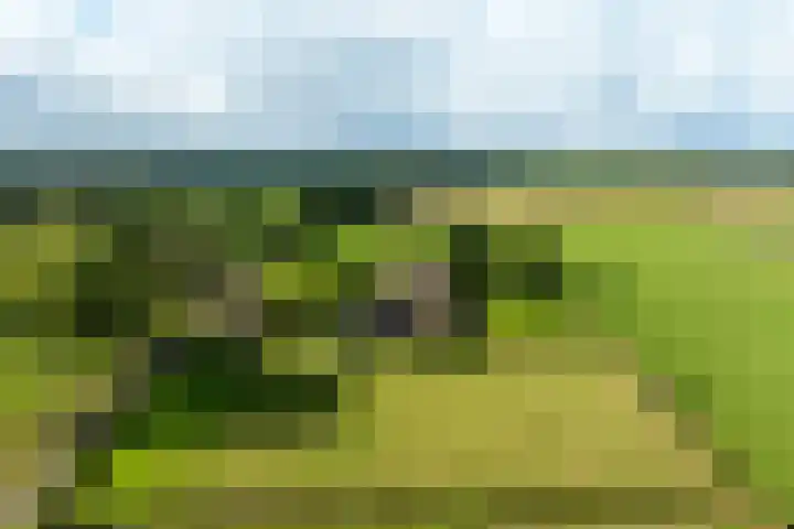 Dijkhuizerweg 25 Epe thumbnail 94