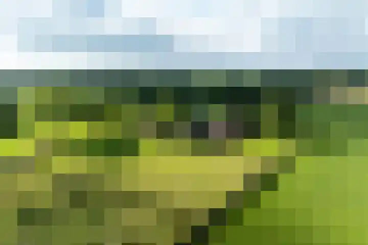 Dijkhuizerweg 25 Epe thumbnail 95
