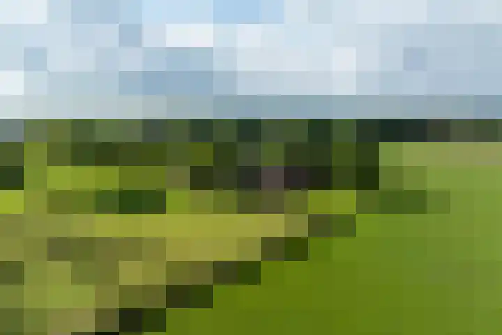 Dijkhuizerweg 25 Epe thumbnail 96
