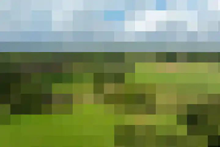 Dijkhuizerweg 25 Epe thumbnail 97
