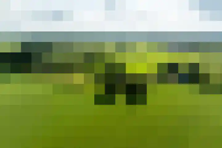 Dijkhuizerweg 25 Epe thumbnail 98