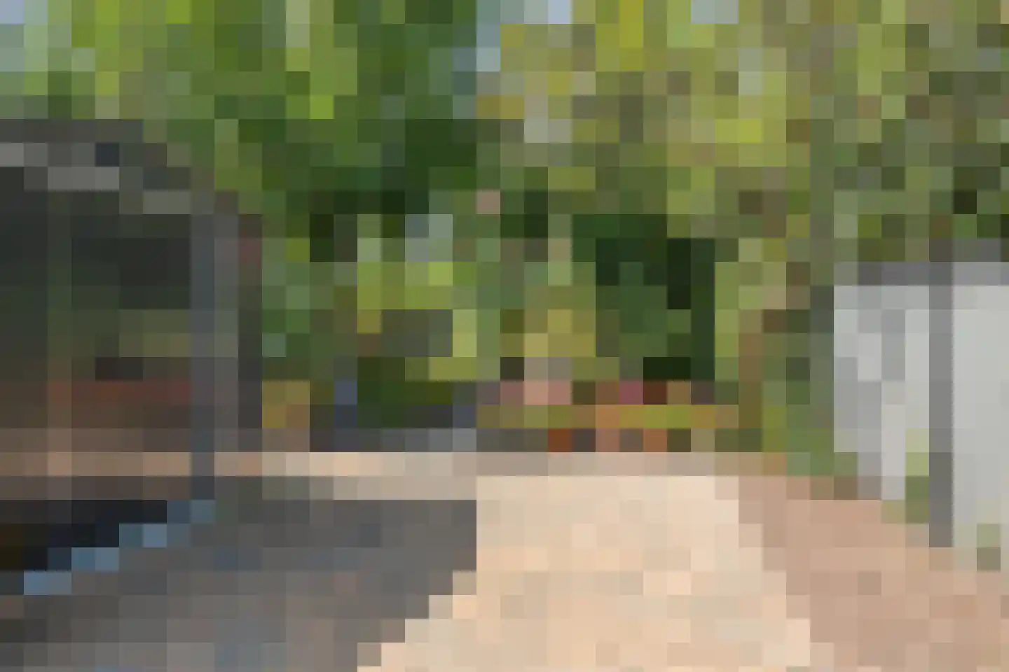 Dijklaan 23 Breda thumbnail 20