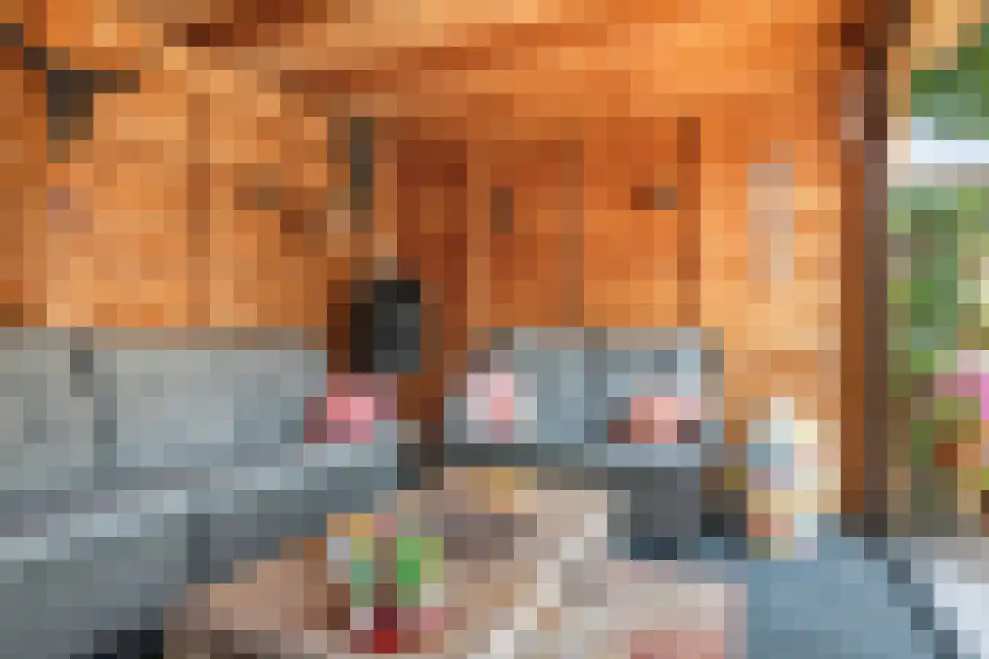 Dijklaan 23 Breda thumbnail 27