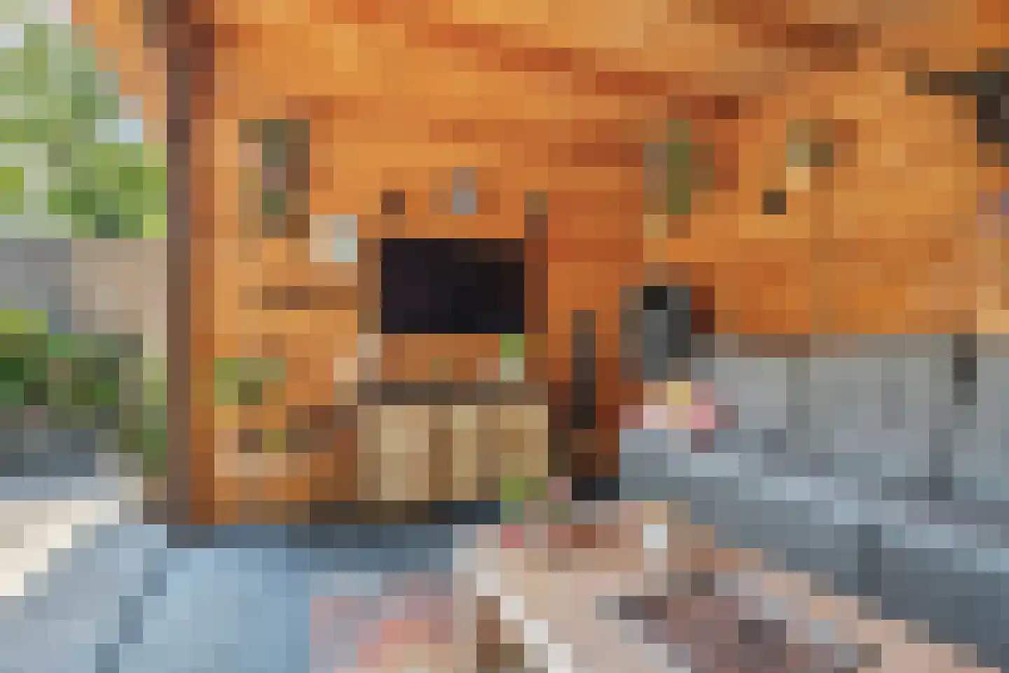 Dijklaan 23 Breda thumbnail 28