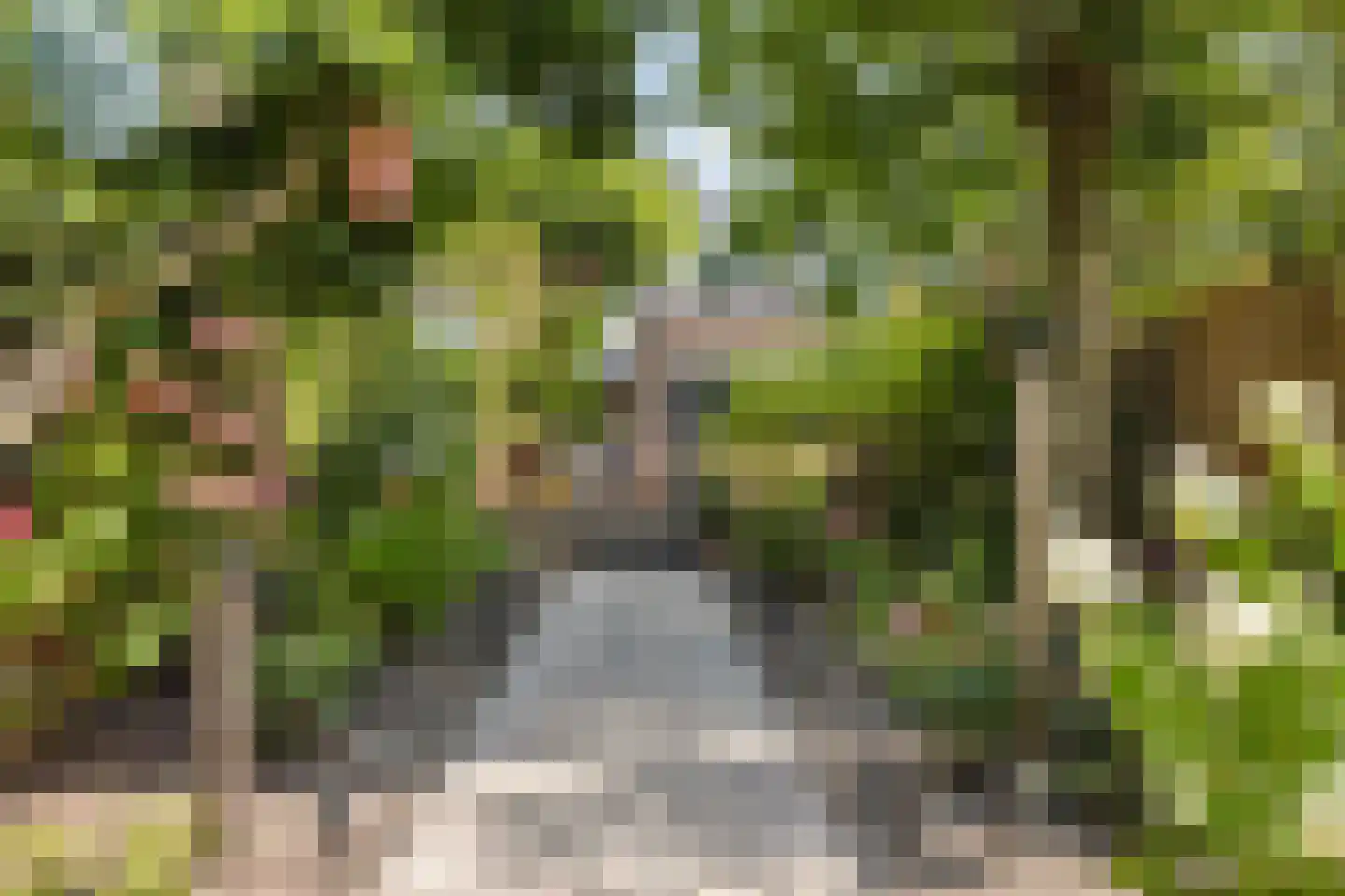 Dijklaan 23 Breda thumbnail 32