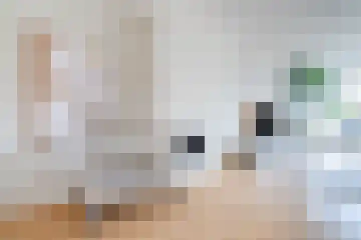 Dijklaan 67 Breda thumbnail 15
