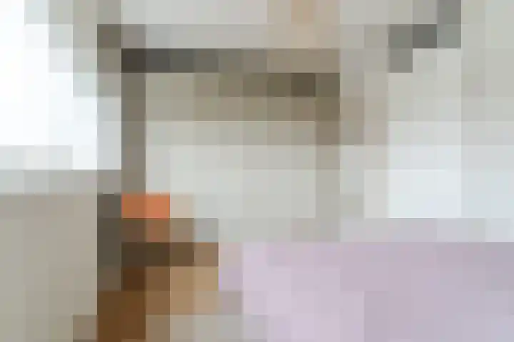 Dijklaan 67 Breda thumbnail 20