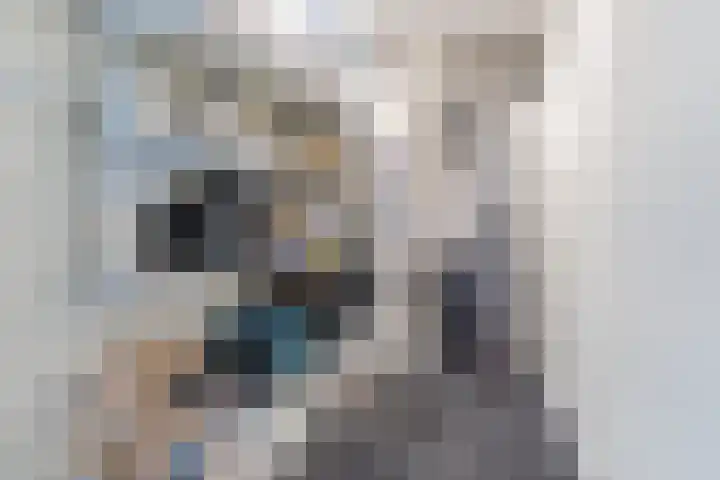 Dijklaan 67 Breda thumbnail 36