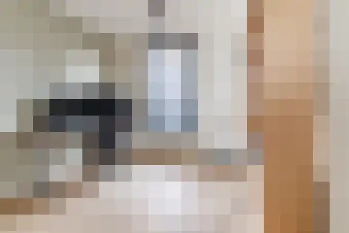 Dijklaan 67 Breda thumbnail 8