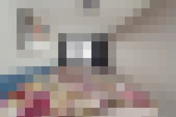 Dijkmanschans 26 Zoetermeer thumbnail 20