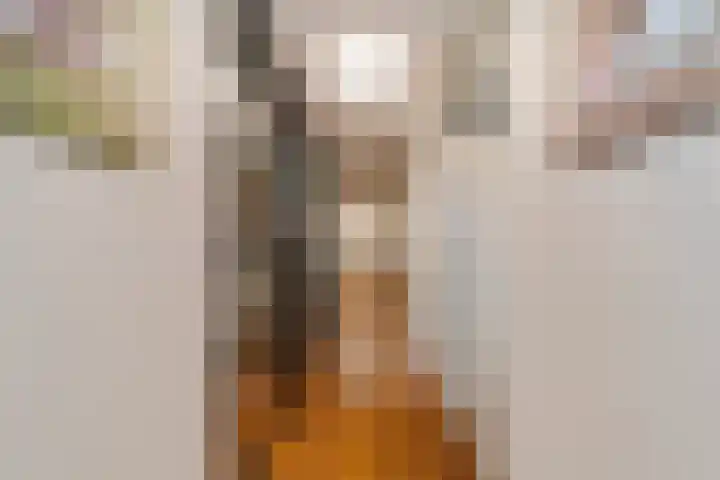 Dijkmanschans 26 Zoetermeer thumbnail 5