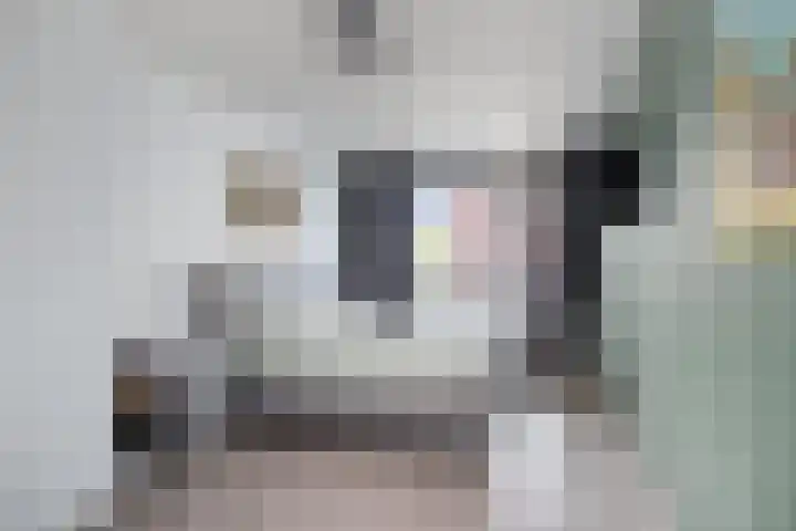 Dijkmanschans 96 Zoetermeer thumbnail 17