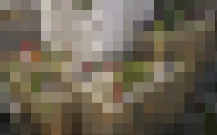 Dijkmeerlaan 511 Amsterdam thumbnail 23