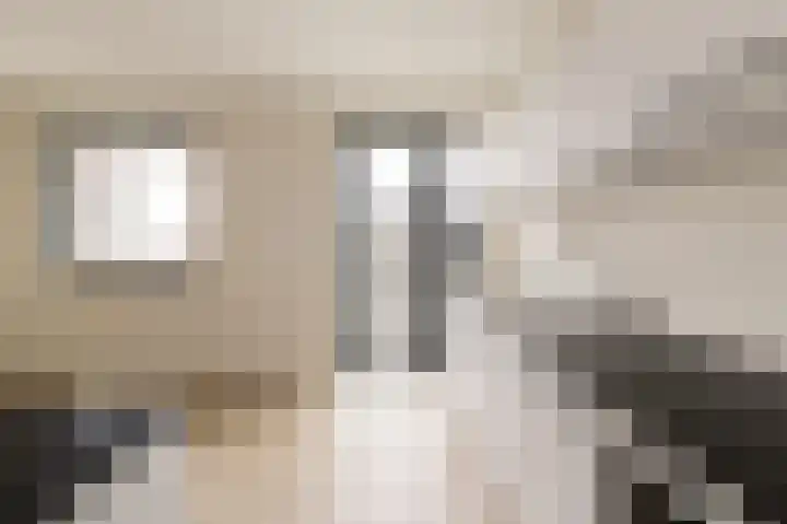 Dijkmeerlaan 511 Amsterdam thumbnail 4